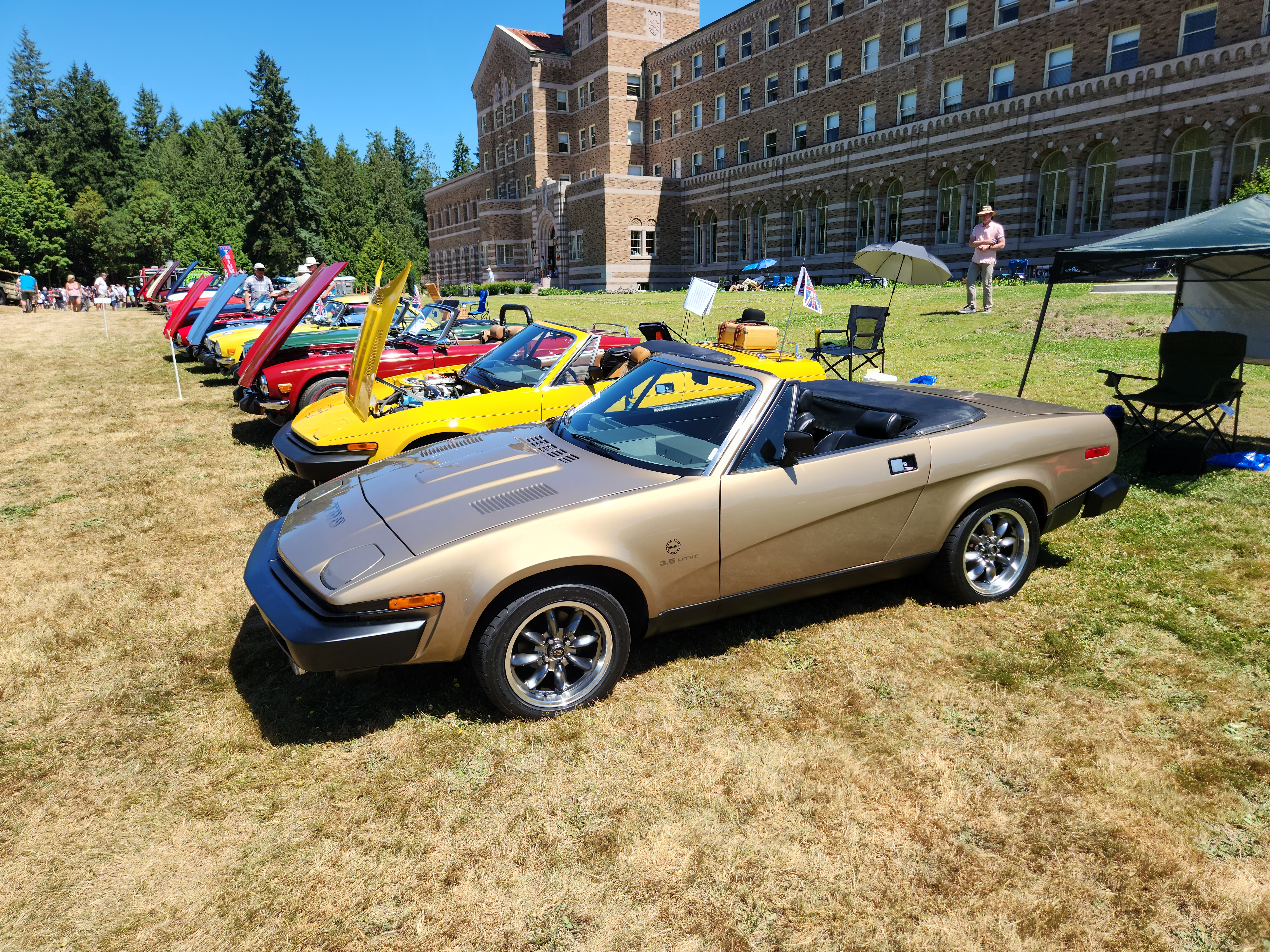 1980 Triumph TR8fi 1-1