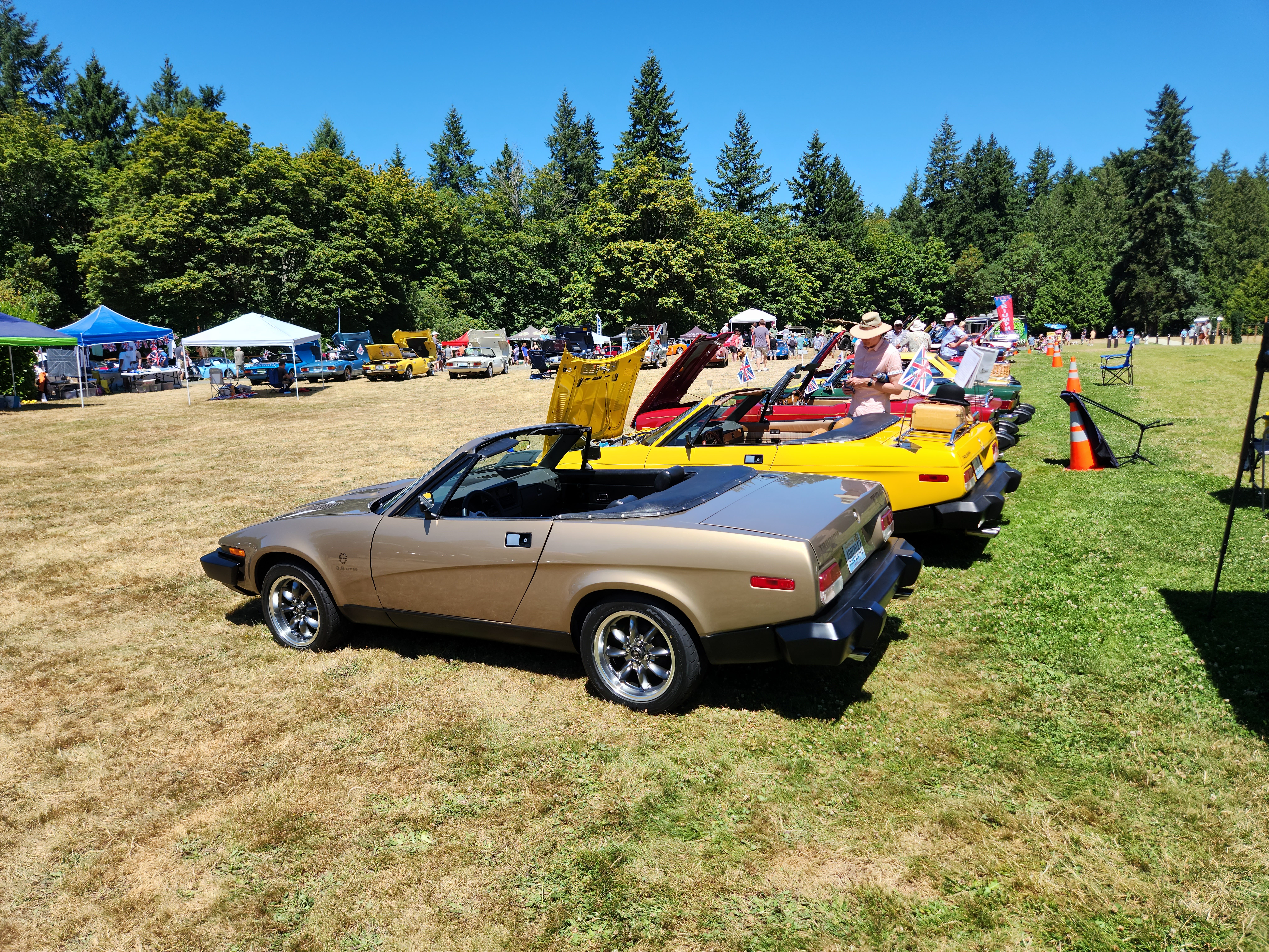 1980 Triumph TR8fi 1-10